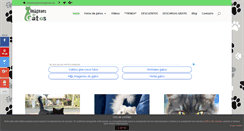 Desktop Screenshot of imagenesdegatos.net